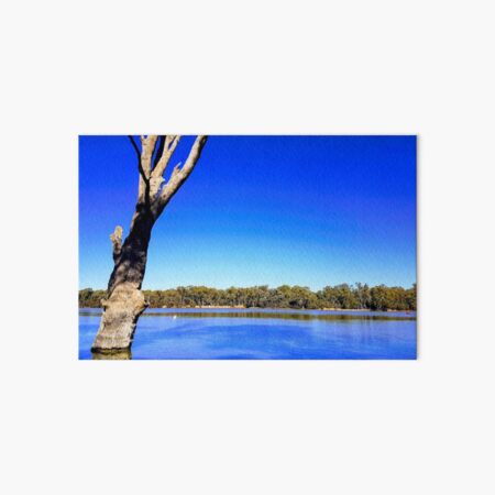 Tree on vacation Art Board Print