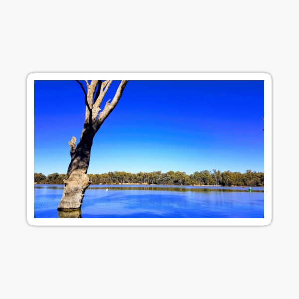 Tree on vacation Sticker
