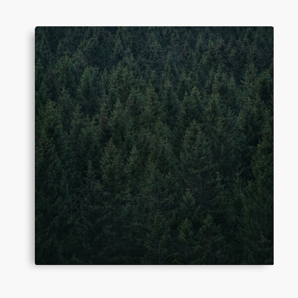 Army Of Me Canvas Print