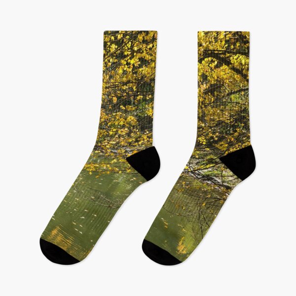 Item preview, Autumnal Riverbank - Golden Maple Tree Leaning Overwater designed and sold by Georgia Mizuleva.