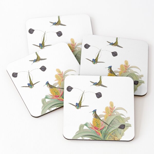 Item preview, Marvellous Spatuletail - Loddigesia Mirabilis designed and sold by billythekidtees.