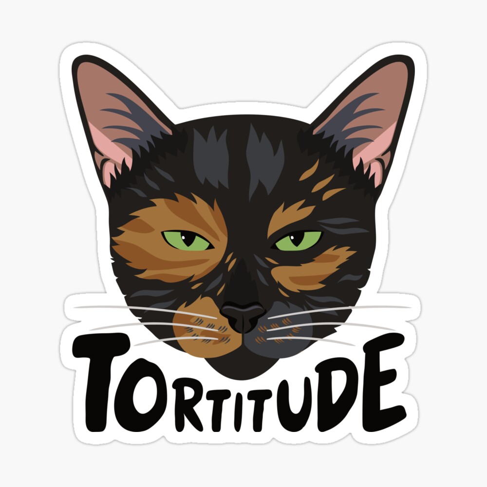 teeturtle tortitude