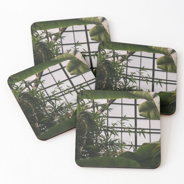 Item preview, Skylight Glasgow Botanics designed and sold by HJoPhotography.