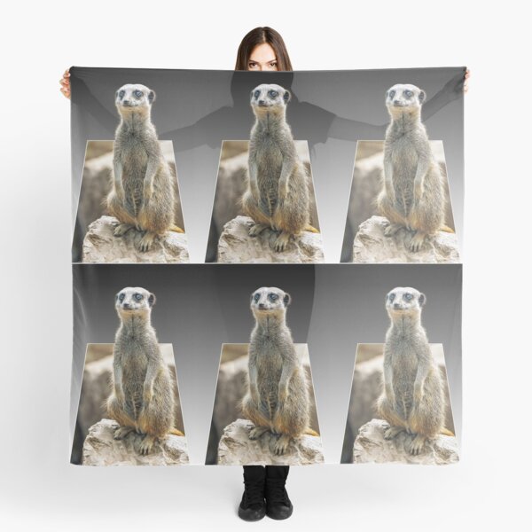 Meerkat Love Scarf
