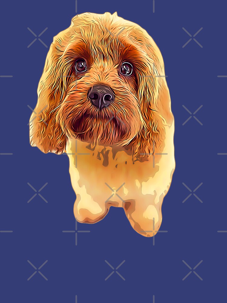 cavoodle t shirt