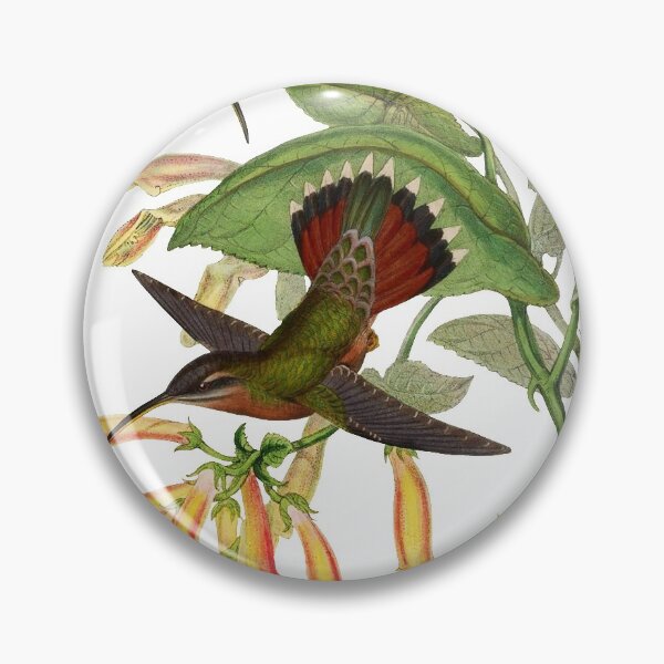 Item preview, Lanceolate Hermit - Glaucis Lanceolata designed and sold by billythekidtees.