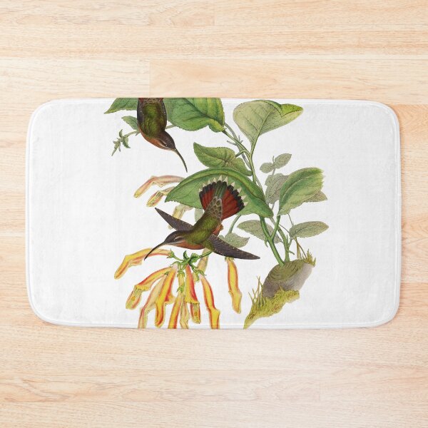 Item preview, Lanceolate Hermit - Glaucis Lanceolata designed and sold by billythekidtees.