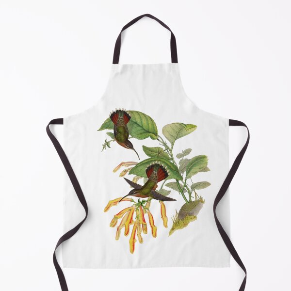 Item preview, Lanceolate Hermit - Glaucis Lanceolata designed and sold by billythekidtees.