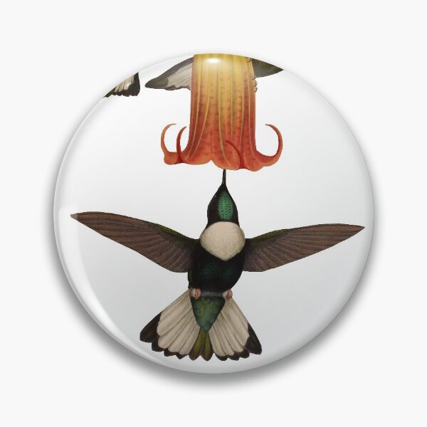 Item preview, Collared Inca - Bourcieria Torquata designed and sold by billythekidtees.