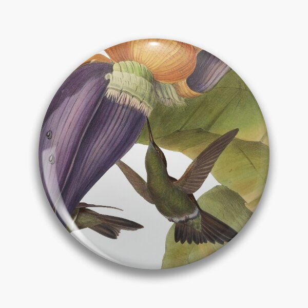 Item preview, Sombre Hummingbird - Aphantochroa Cirrhochloris designed and sold by billythekidtees.