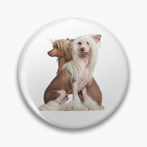 Item preview, Chinese Crested Dogs - full body pets elegant dogs long haird designed and sold by Coolstuff4you71.