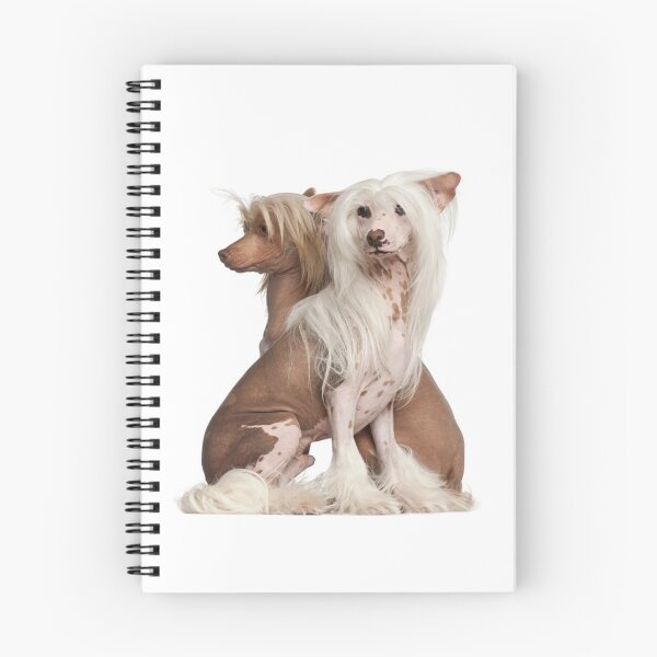 Item preview, Chinese Crested Dogs - full body pets elegant dogs long haird designed and sold by Coolstuff4you71.