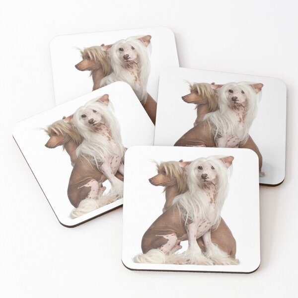 Item preview, Chinese Crested Dogs - full body pets elegant dogs long haird designed and sold by Coolstuff4you71.
