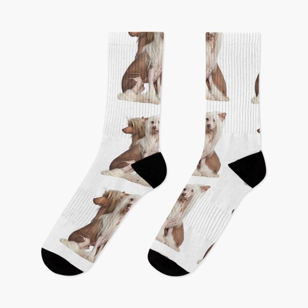 Item preview, Chinese Crested Dogs - full body pets elegant dogs long haird designed and sold by Coolstuff4you71.