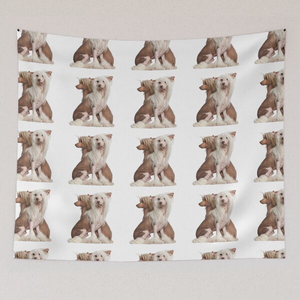 Item preview, Chinese Crested Dogs - full body pets elegant dogs long haird designed and sold by Coolstuff4you71.
