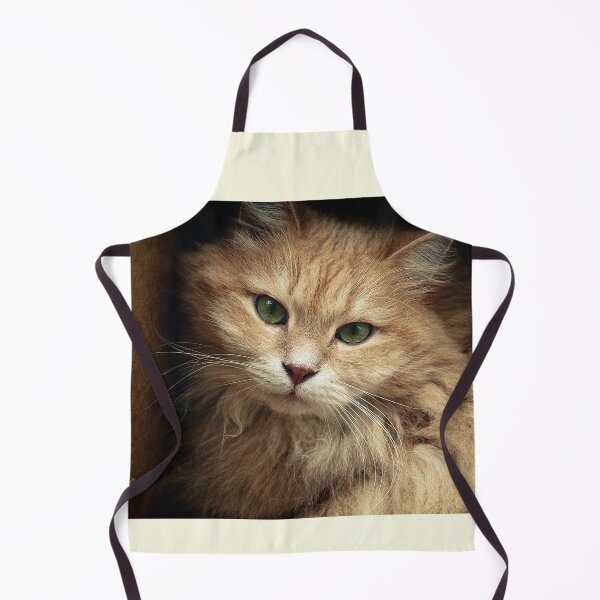 Item preview, Mr. Cesare in the box designed and sold by Pino 'Delfino' Esposito.
