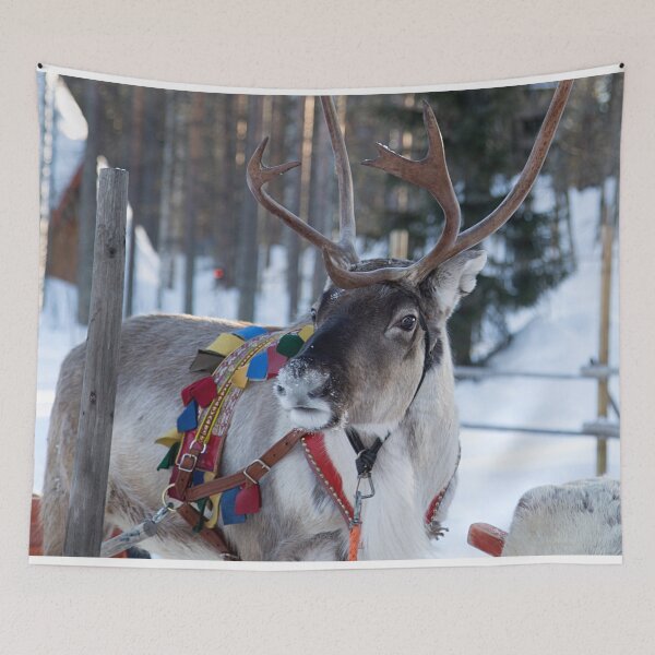 Item preview, Santa Claus Reindeer designed and sold by FotoJarmo.
