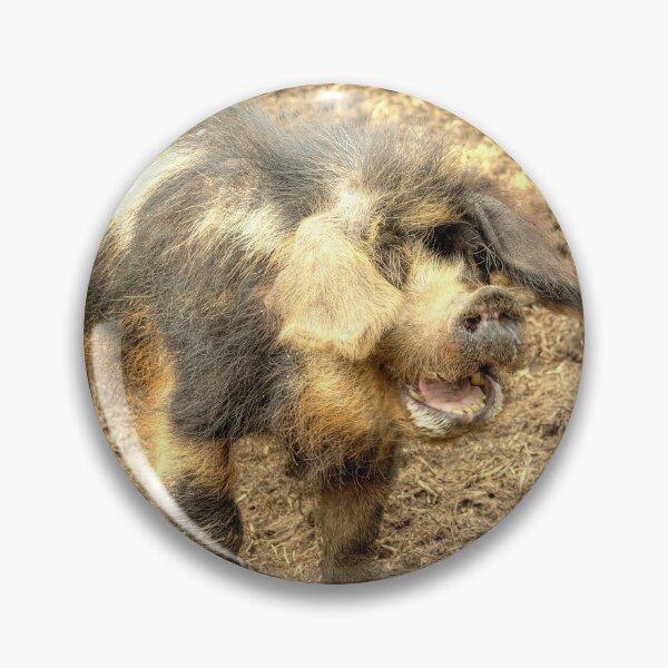 Item preview, Ernie, The Incredibly Hairy Laughing Pig designed and sold by Jamie  Green.