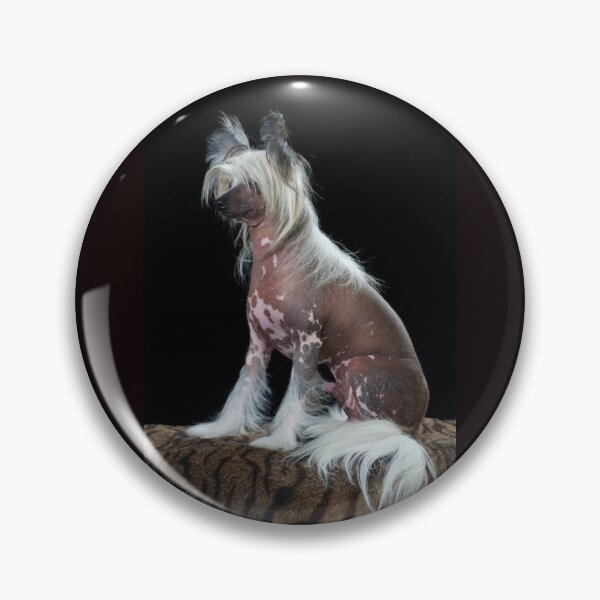 Item preview, Chinese Crested Dogs - full face art pets elegant dogs long haird designed and sold by Coolstuff4you71.