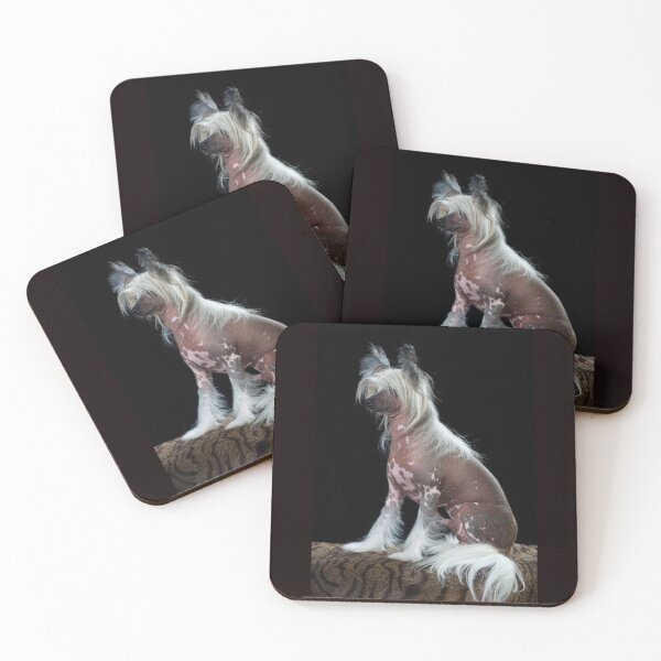 Item preview, Chinese Crested Dogs - full face art pets elegant dogs long haird designed and sold by Coolstuff4you71.