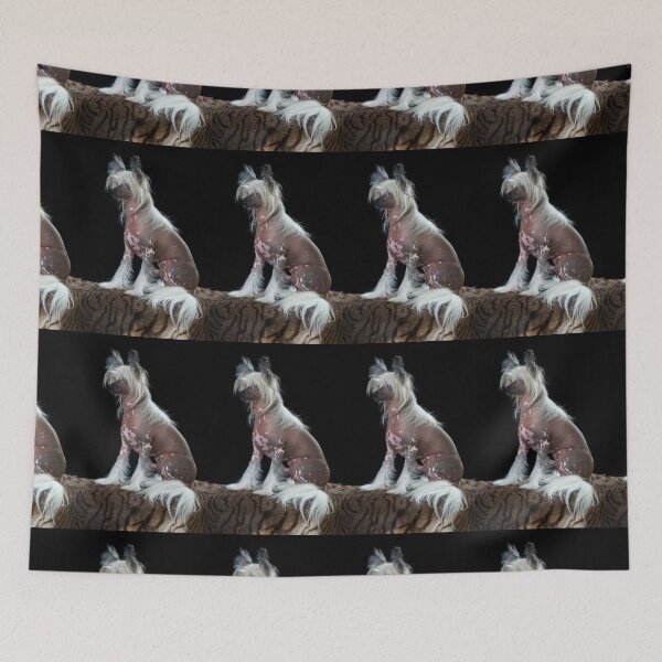 Item preview, Chinese Crested Dogs - full face art pets elegant dogs long haird designed and sold by Coolstuff4you71.