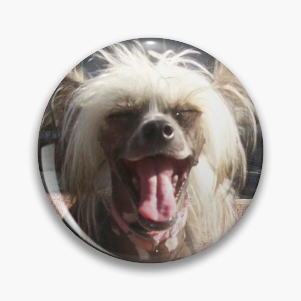 Item preview, Chinese Crested Dogs - pets funny dogs long haird designed and sold by Coolstuff4you71.