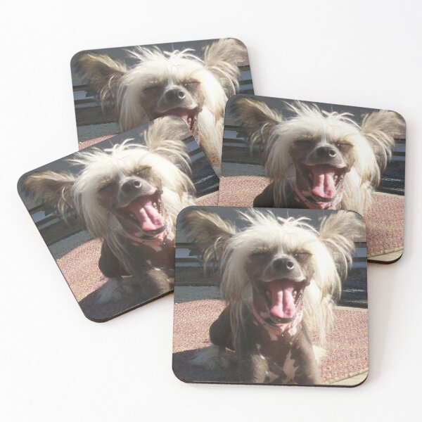 Item preview, Chinese Crested Dogs - pets funny dogs long haird designed and sold by Coolstuff4you71.