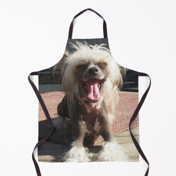 Item preview, Chinese Crested Dogs - pets funny dogs long haird designed and sold by Coolstuff4you71.