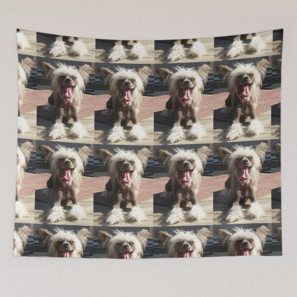 Item preview, Chinese Crested Dogs - pets funny dogs long haird designed and sold by Coolstuff4you71.