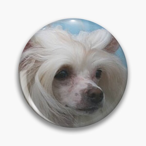 Item preview, Chinese Crested Dogs - pets dogs long haird designed and sold by Coolstuff4you71.