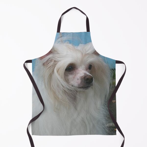Item preview, Chinese Crested Dogs - pets dogs long haird designed and sold by Coolstuff4you71.