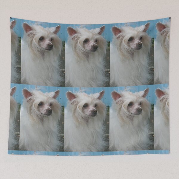 Item preview, Chinese Crested Dogs - pets dogs long haird designed and sold by Coolstuff4you71.