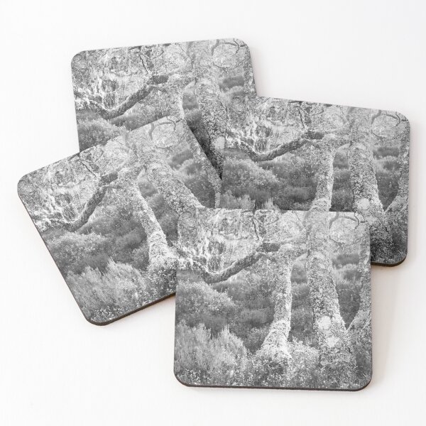 Item preview, Woodland 1 designed and sold by ShinyPhoto.