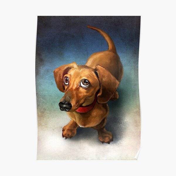 Dachshund Dog cute Portrait Art Poster