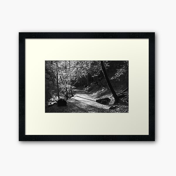 Woodland 2 Framed Art Print