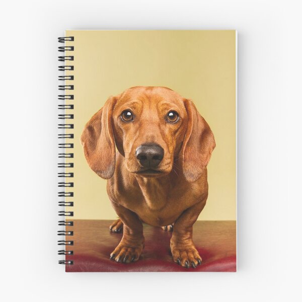 Item preview, Dachshund Dog cute Portrait Art designed and sold by Coolstuff4you71.
