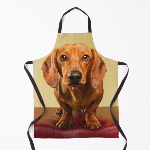 Item preview, Dachshund Dog cute Portrait Art designed and sold by Coolstuff4you71.