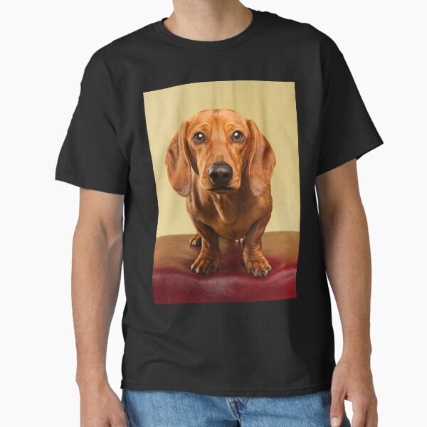 Item preview, Dachshund Dog cute Portrait Art designed and sold by Coolstuff4you71.