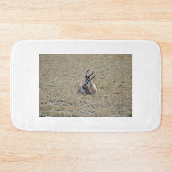 Item preview, Solitary Springbok designed and sold by justbmac.