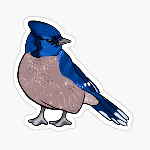 Item preview, Revised Bluejay designed and sold by DrawingBasic.