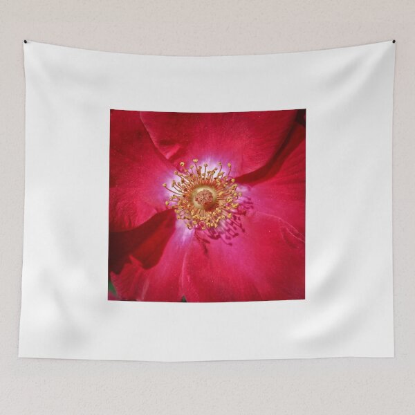 Item preview, Sunny flower designed and sold by David Beards.