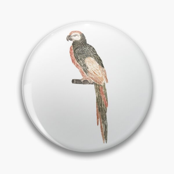 Item preview, A Parrot / The beauty of Classic Art designed and sold by JJAarts.