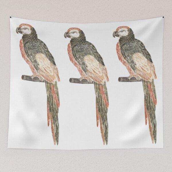 Item preview, A Parrot / The beauty of Classic Art designed and sold by JJAarts.