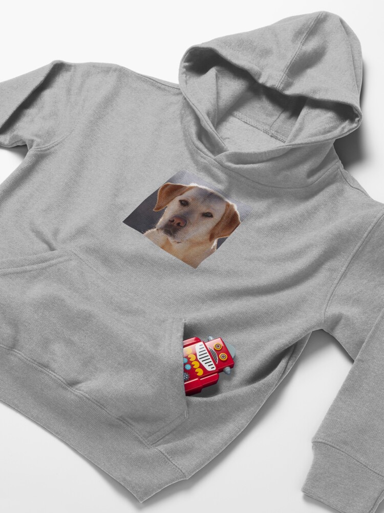 Alternate view of Portrait of A Golden Labrador Dog Kids Pullover Hoodie