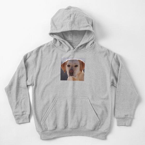 Portrait d'un chien labrador doré Sweat à capuche épais enfant