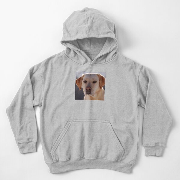 Labrador Retriever Kids Pullover Hoodies for Sale Redbubble