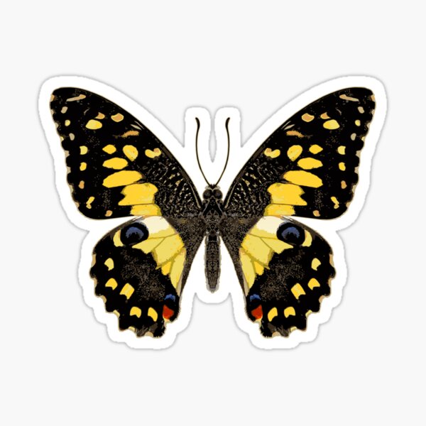 Lime Butterfly Sticker