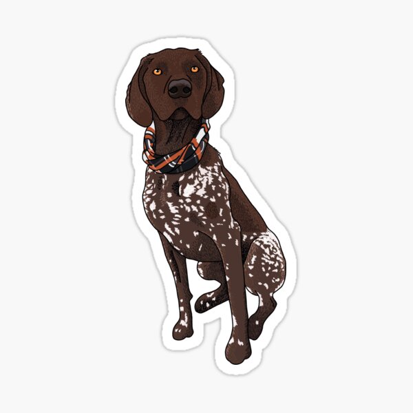 German Shorthaired Pointer Gifts & Merchandise for Sale | Redbubble