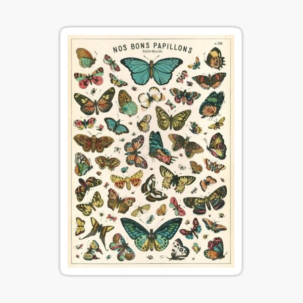 affiche vintage de papillon Sticker