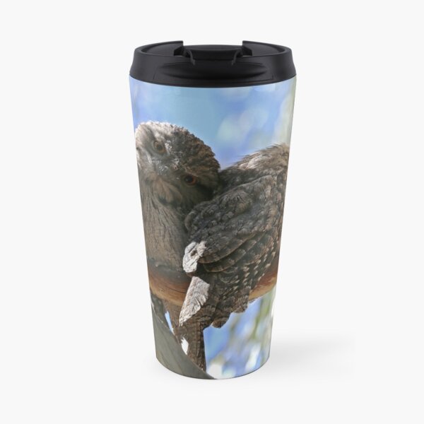 Juvenile Tawny Frogmouths Travel Mug